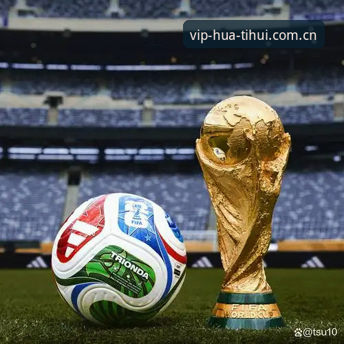 华体会VDPV篮球赔率实时2026最新版本深度评测：从数据洪流到决策工具的演进之路